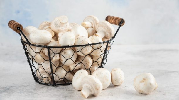 Интересные факты о шампиньонах 1 – MefgaFacts