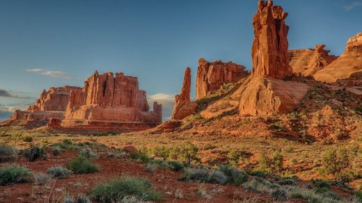 Интересные факты о прериях Северной Америки