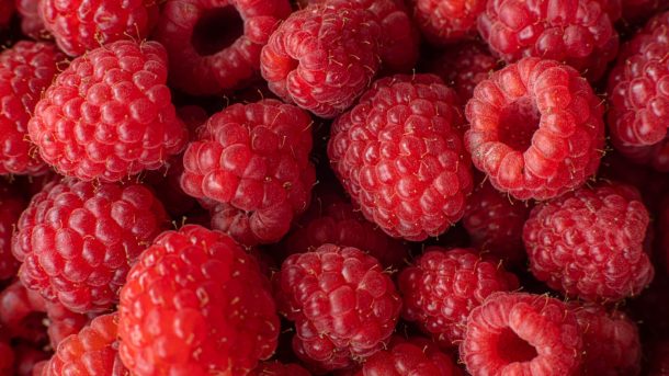 Интересные факты о малине