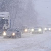 Боран туралы қызықты мәліметтер