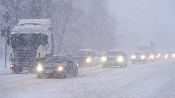 Боран туралы қызықты мәліметтер